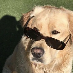 Average Astro-Creep