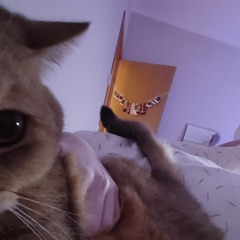 mermer