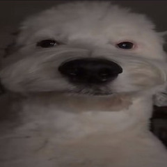 F K