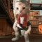 ocelot puffs֎