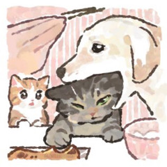 shirano