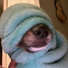 aboogagaboo