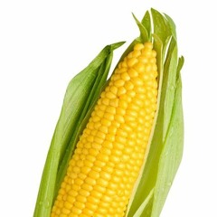 CornPope