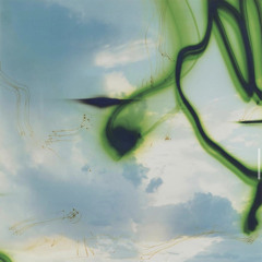 pluscaleb ✱