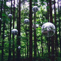 Audiodisciples