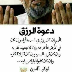 Hany Abd Alaah