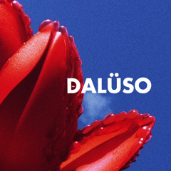 (dalüso)