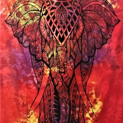 ליאל נחתום - עדיף הכאב על הכלום