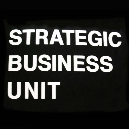 STRATEGIC BUSINESS UNIT’s avatar