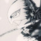 风