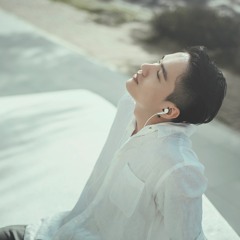 Thanh Seven Koi