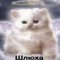 Нищий король