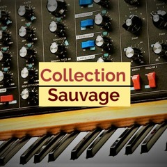 Collection Sauvage