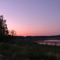 svenncx
