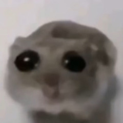 SCOREDNB