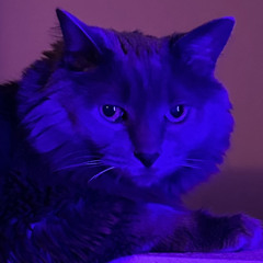 zig_zach