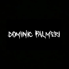 Dominic Palmeri