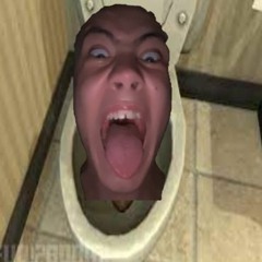 skibidy toilet ohio sigma rizz