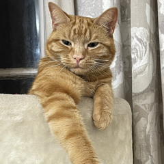 Dj Redsiel(redflex kru)