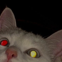 scarlcx