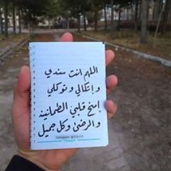 مالك عمرو