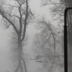мемяяяяяяяяяяяяяяяяяя21341