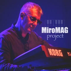 MiroMAG
