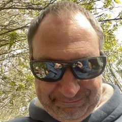 misha merzlyak