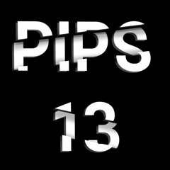 PIPS 13