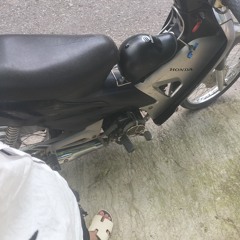 Dũng Người Lái Đò