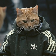Макс Гапонов