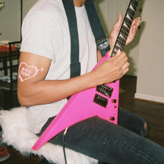 popstarpooch