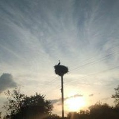 Ромэн Калюшев