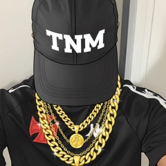 LIDERANÇA TNM - [Perfil 1°] / 🅿️🤹🏽‍♀️🥸👺💸