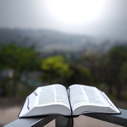 1 KINGS 4:20-28 - CHRIST IN THE OLD TESTAMENT : A FORETASTE OF THE KINGDOM OF GOD