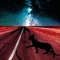 Neoncat