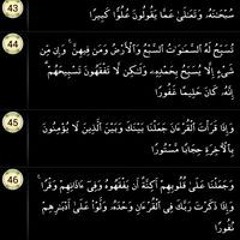 Abou Lbaraa Ali