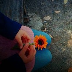 Shahd Ebrahim