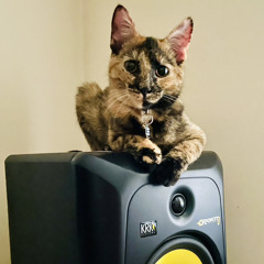 MFasa