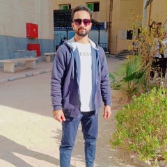 Mohammed Gamal
