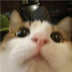 the