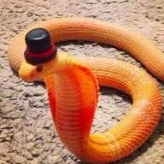 WowThankz (Snek with hat)