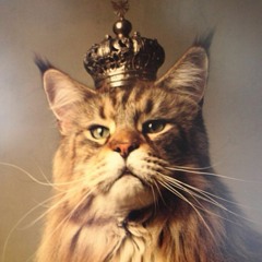 Catcr