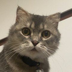 Ellie