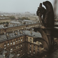 _Aquatice