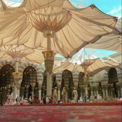 Zuhoor ALnasim