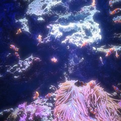 まか