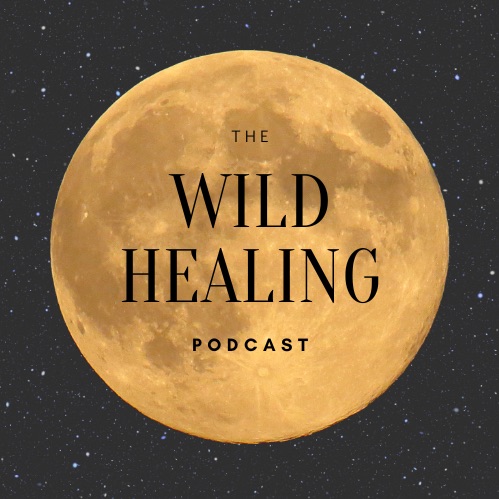 The Wild Healing Podcast