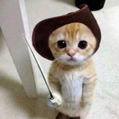 Cutii