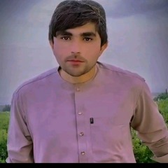 Saed Ajmal
